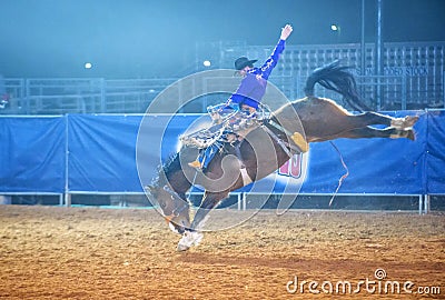 Clark County Fair and Rodeo Editorial Stock Photo