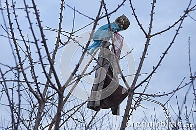 Clasic scarecrow in a tree Stock Photo