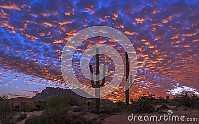 Classic Arizona Sunset Landscape With Cactus in Foreground Stock Photo
