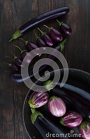 Classic, baby, Japanese and purple striped eggplants Stock Photo
