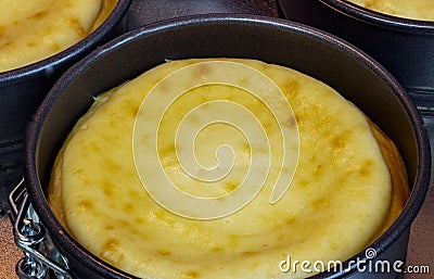 Classic baked vanilla cheesecake Stock Photo