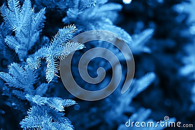 Classic blue, trend color of the year 2020 Stock Photo