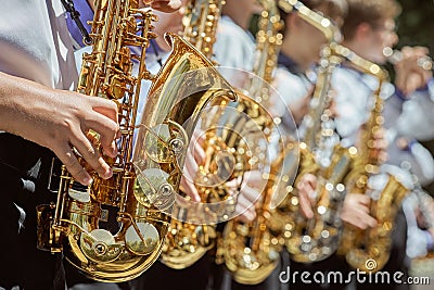 Classic Brass band plays the musical in garden. Stock Photo