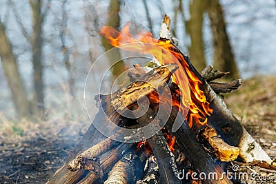 Classic camping campfire Stock Photo