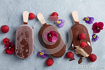 Classic chocolate ice cream with berry Stock Photo