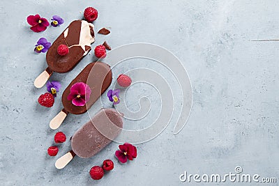 Classic chocolate ice cream with berry Stock Photo