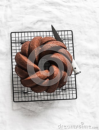 Classic chocolate pound cake on a baking rack on a white background, top view Stock Photo