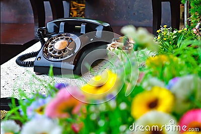 Classic color telephone Stock Photo