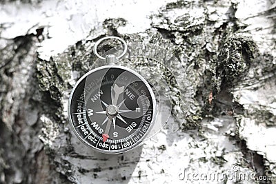 Classic compass on natural background with birch bark texture Stock Photo