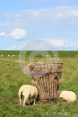 Classic dutch country view Stock Photo