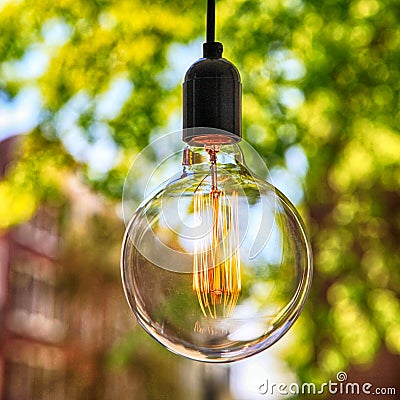 Classic Edison light bulb on green leaves background Stock Photo