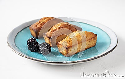 Classic French holiday pastries - financier cake dessert on a beautiful azure plate with fresh blackberries - side view with copy Stock Photo