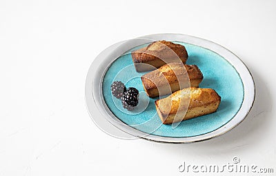 Classic French holiday pastries - financier cake dessert on a beautiful azure plate with fresh blackberries - side view with copy Stock Photo