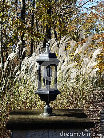 Classic Lamppost in Rural Fall Setting Stock Photo