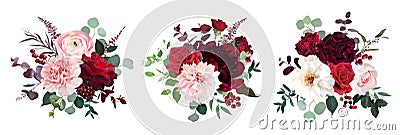 Classic luxurious red roses, pink carnation, ranunculus, dahlia, white peony Vector Illustration