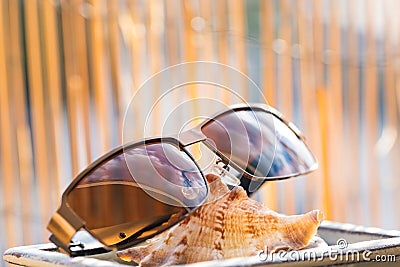 Classic model Sunglasses brown color closeup shoot in a summer day with bamboo fence in background. Selective focus Stock Photo