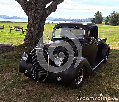 Classic old pickup parked under shade tree in grass by lake Stock Photo