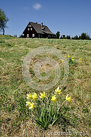 Classic old wooden cottage Stock Photo