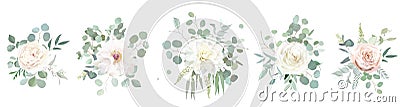 Classic pink rose, white dahlia, peony, beige ranunculus, mint eucalyptus, fern, sage blush greenery vector design Vector Illustration