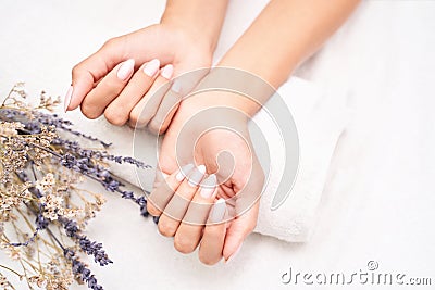 Classic pink wedding nail manicure on white backdrop. Spa treatment concept Stock Photo