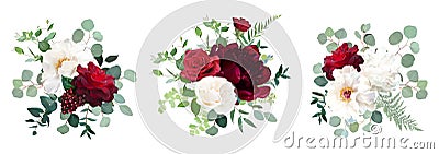 Classic red roses, white and burgundy peony, berry, eucalyptus, maidenhair fern Vector Illustration