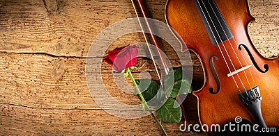 Classic retro violin music string instrumt with red rose flower old oak wood wooden wide panorama background. classical musical Stock Photo