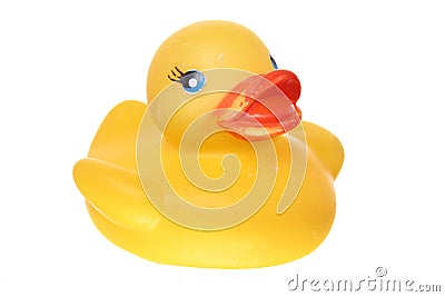 Classic rubber ducky on white ground Stock Photo