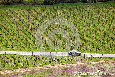 A classic sports car driving through a bvineyard for a short weekend vacation Stock Photo