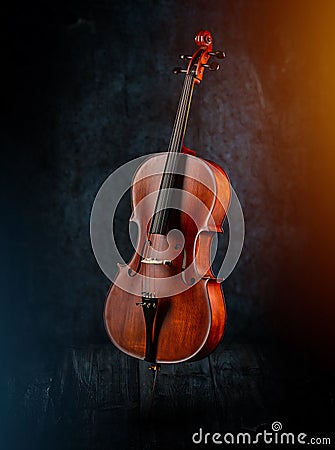 Classic stringed musical instrument Stock Photo