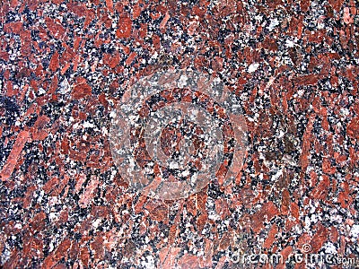 Classic texture of granite. Mineral composition of rock are quartz, plagioclase, potassium feldspar and biotite mica Stock Photo