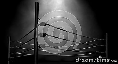 Classic Vintage Boxing Ring Stock Photo