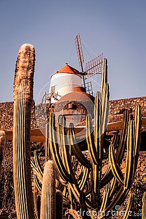 Classic windmill set against a rocky cliffside landscape, with a collection of spiky cacti Stock Photo