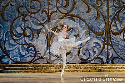 Classical ballet Sleeping beauty Editorial Stock Photo
