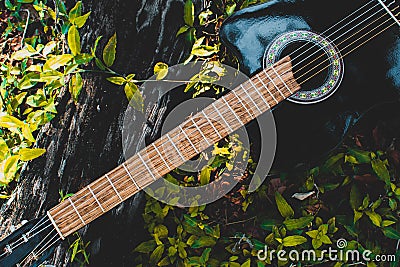 classical black guitar on green grass Stock Photo