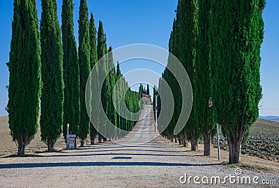 Classical Italian villa with Cypress Evergreen Trees in Tuscany's countryside Editorial Stock Photo