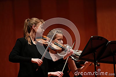 Classical music. Violinists in concert. Stringed, violinist.Closeup of musician playing the violin during a symphony Editorial Stock Photo