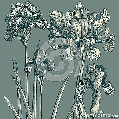 Classical wall-paper with a flower pattern. Vector Illustration