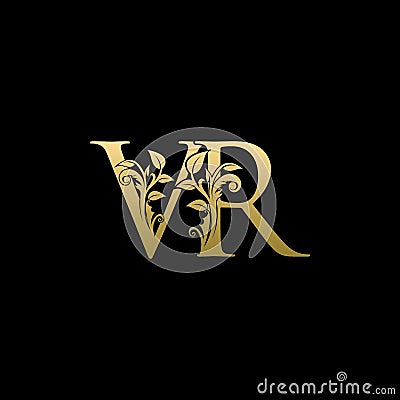 Classy Gold Leaf VR Letter Logo Stock Photo