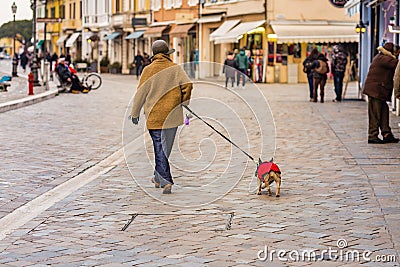 Classy mature lady walking with dog Editorial Stock Photo