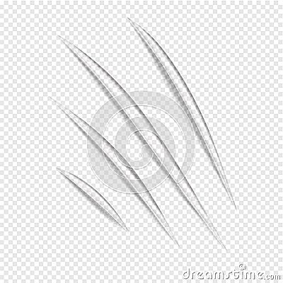 Claw vecror scratches Vector Illustration