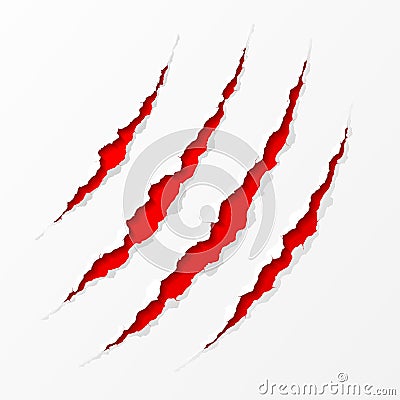 Claws scratches Vector Illustration