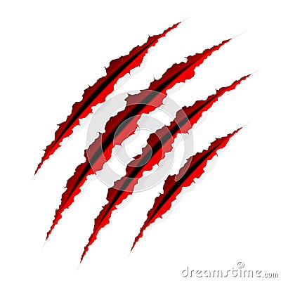 Claws scratches Vector Illustration