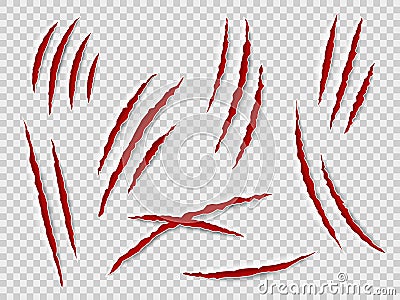 Claws scratches. Animal claw tracks, cat or tiger, bear or lion attack nails scratches. Thriller horror, halloween Vector Illustration