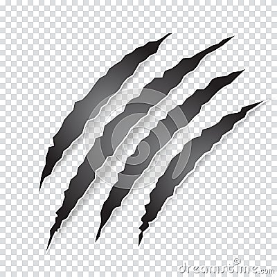 Claws scratches animal or monster on transparent background. Vector Illustration