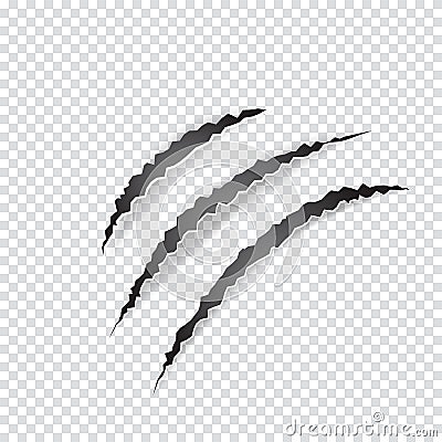Claws scratches animal or monster on transparent background. Vector Illustration