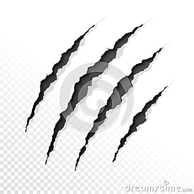 Claws scratches Vector Illustration