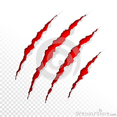 Claws scratches Vector Illustration