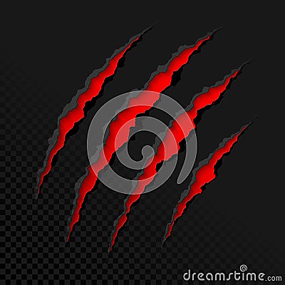 Claws scratches on transparent background Vector Illustration