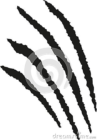 Claws scratching animal Vector Illustration