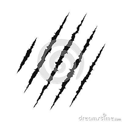 Claws scratching animal. shredded paper. Scratched surface. vector illustration Vector Illustration